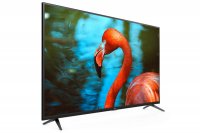 TCL 43P8 43 Inch (109.22 cm) Android TV