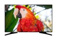 Onida 43FIW 43 Inch (109.22 cm) Android TV